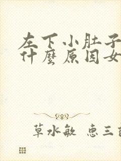 左下小肚子疼是什么原因女性