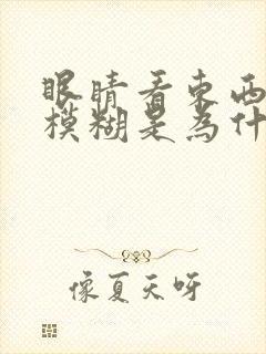 眼睛看东西老是模糊是为什么