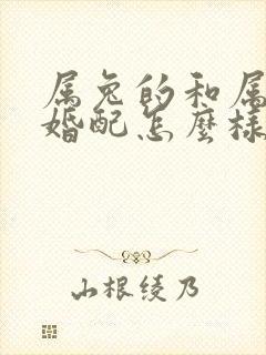 属兔的和属马的婚配怎么样
