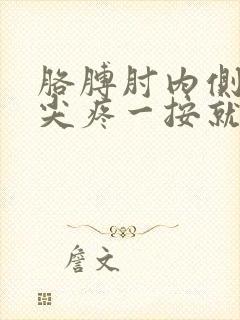 胳膊肘内侧骨头尖疼一按就疼
