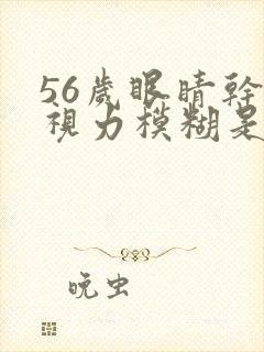 56岁眼睛干涩视力模糊是什么原因引起的