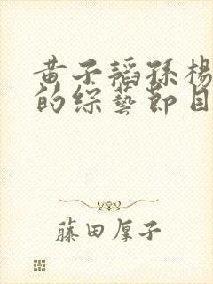 黄子韬孙杨参加的综艺节目叫什么