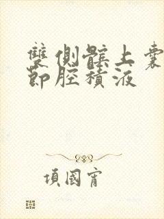 双侧髌上囊及关节腔积液