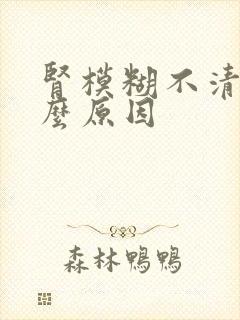 肾模糊不清 什么原因
