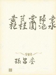 黄芪当归党参枸杞桂圆泡水喝封面