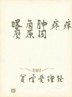 眼角肿疼痒是什么原因封面