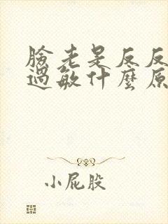 脸老是反反复复过敏什么原因封面