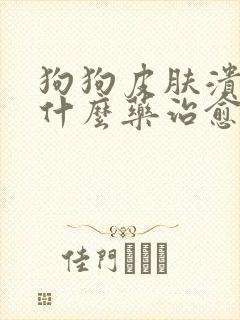 狗狗皮肤溃烂用什么药治愈最快封面
