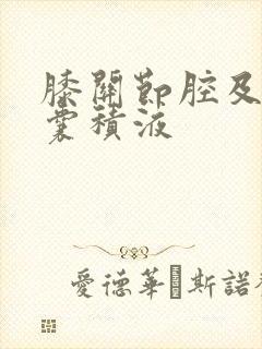 膝关节腔及髌上囊积液