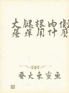 大腿根内侧发黑瘙痒用什么药