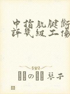 中指肌腱断裂能评几级工伤