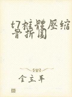 t7椎体压缩性骨折图封面
