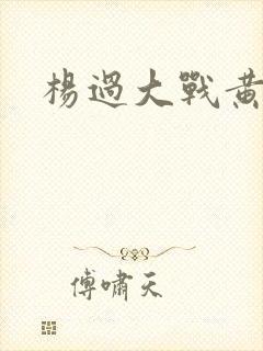 杨过大战黄蓉