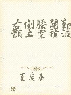 右侧膝关节腔及髌上囊积液