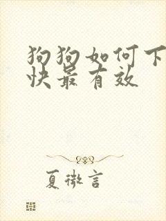 狗狗如何下奶最快最有效封面