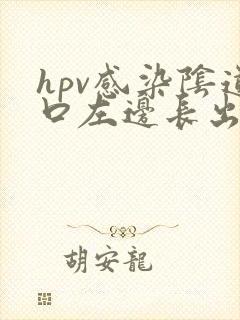 hpv感染阴道口左边长出长条淡粉色肉