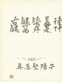 右腿膝盖后面的腿窝疼是什么原因引起的