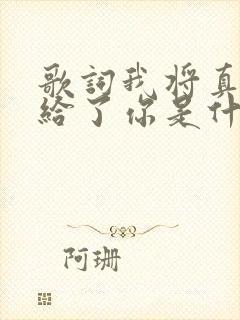 歌词我将真心付给了你是什么歌