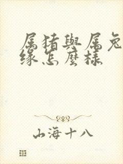 属猪与属兔的姻缘怎么样