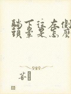 躺下往左侧翻身头晕是怎么回事封面