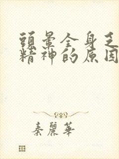 头晕全身乏力没精神的原因封面