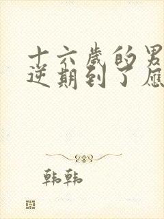 十六岁的男孩叛逆期到了应该怎么办