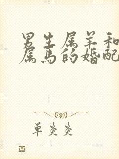 男生属羊和女生属马的婚配合适吗