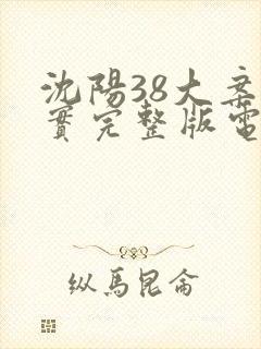 沈阳38大案纪实完整版电视剧