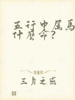 五行中属马的是什么命?