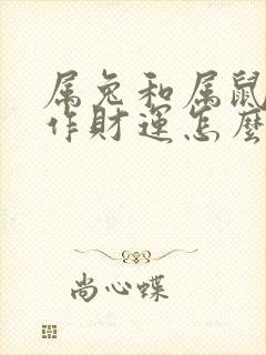 属兔和属鼠的合作财运怎么样