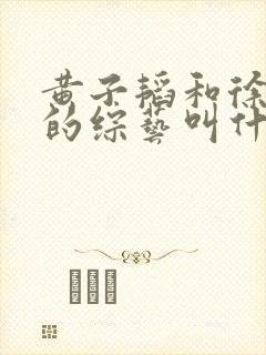 黄子韬和徐艺洋的综艺叫什么
