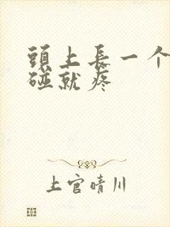 头上长一个包一碰就疼封面