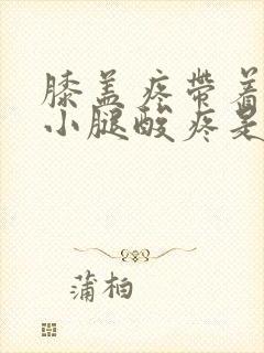 膝盖疼带着脚踝小腿酸疼是怎么回事