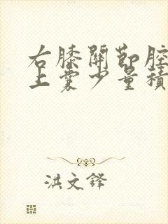右膝关节腔及髌上囊少量积液封面