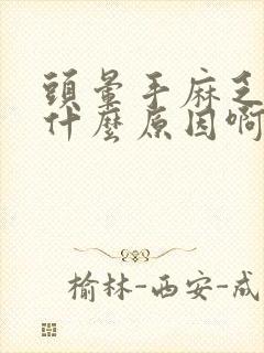 头晕手麻乏力是什么原因啊
