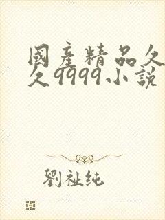 国产精品久久久久9999小说