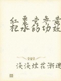 红枣党参黄芪枸杞水的功效