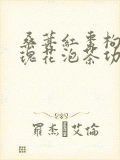 桑葚红枣枸杞玫瑰花泡茶功效