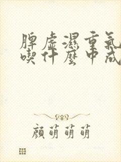 脾虚湿重气血虚吃什么中成药调理封面