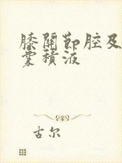 膝关节腔及髌上囊积液