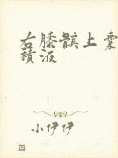 右膝髌上囊少量积液