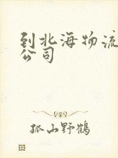 到北海物流专线公司