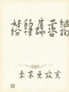 好的房子继承纠纷律师咨询