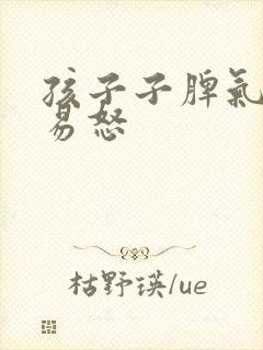 孩子子脾气暴躁易怒