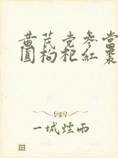 黄芪党参当归桂圆枸杞红枣功效