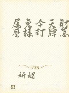 属兔今天财运怎么样打牌怎么样