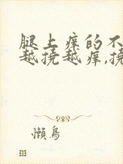 腿上痒的不行,越挠越痒,挠起好多很小的疙瘩