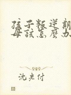 孩子叛逆期骂父母该怎么办封面