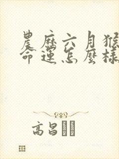 农历六月猴女的命运怎么样