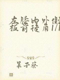左膝内外侧半月板前后角1/11度损伤封面
